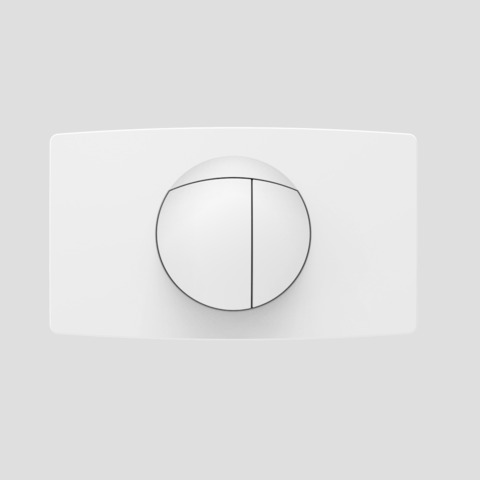 SANIT Betätigungsplatte L